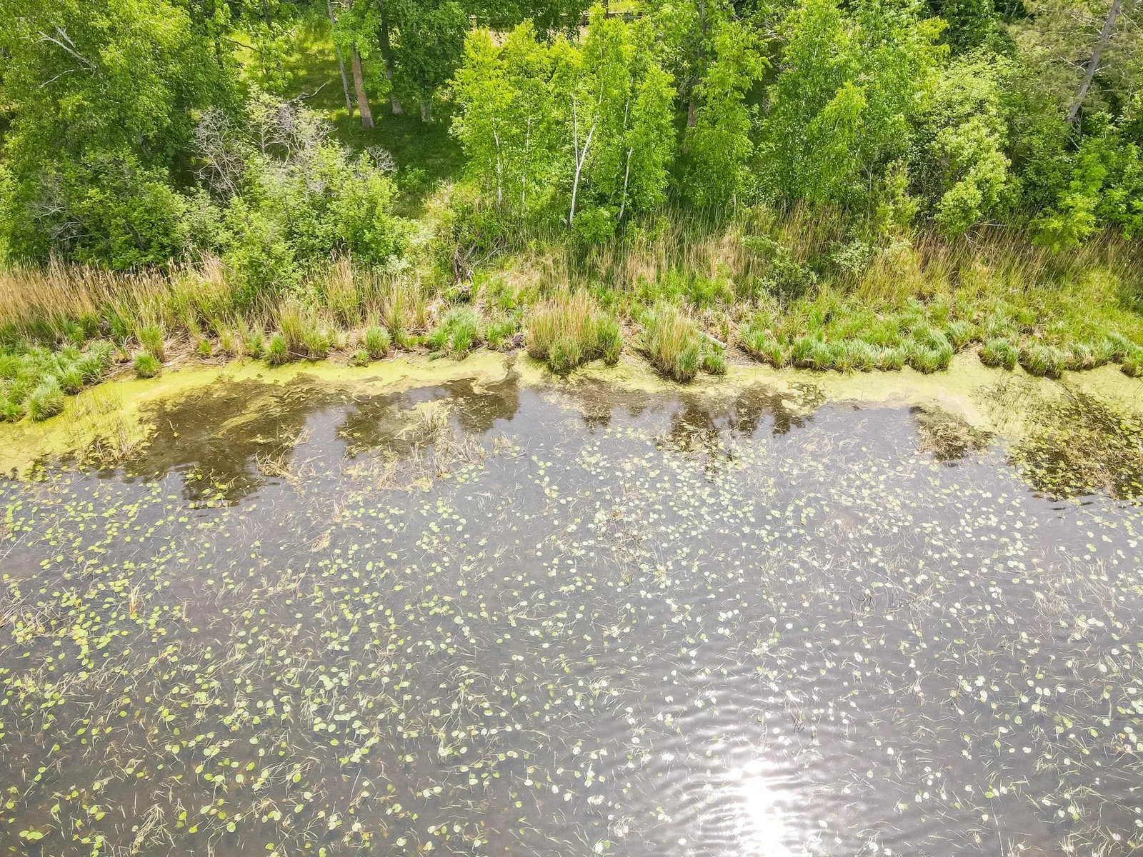 dji_fly_20250603_130330_881_1748973821450_photo.jpg