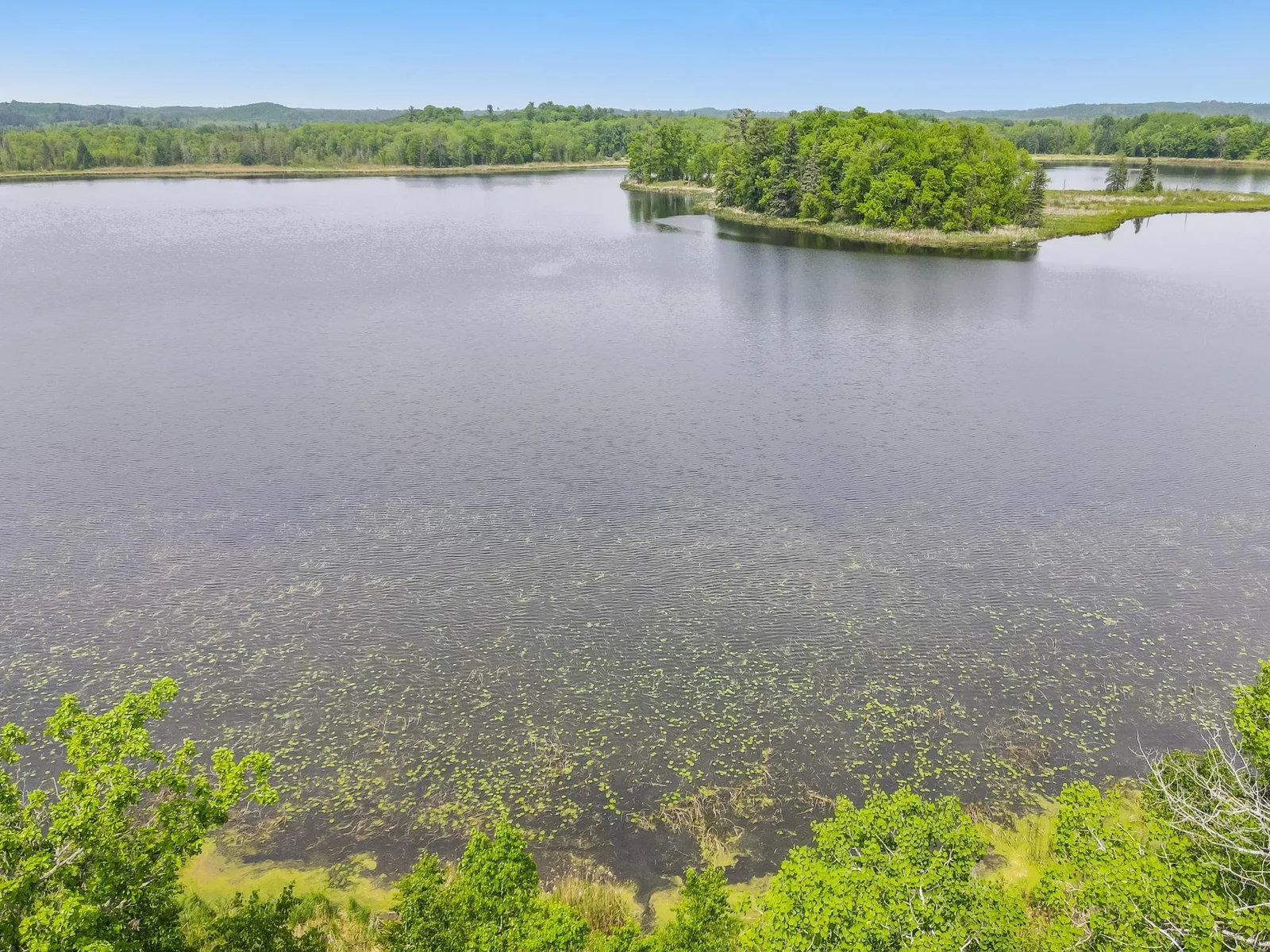 dji_fly_20250603_130252_880_1748973786355_photo.jpg