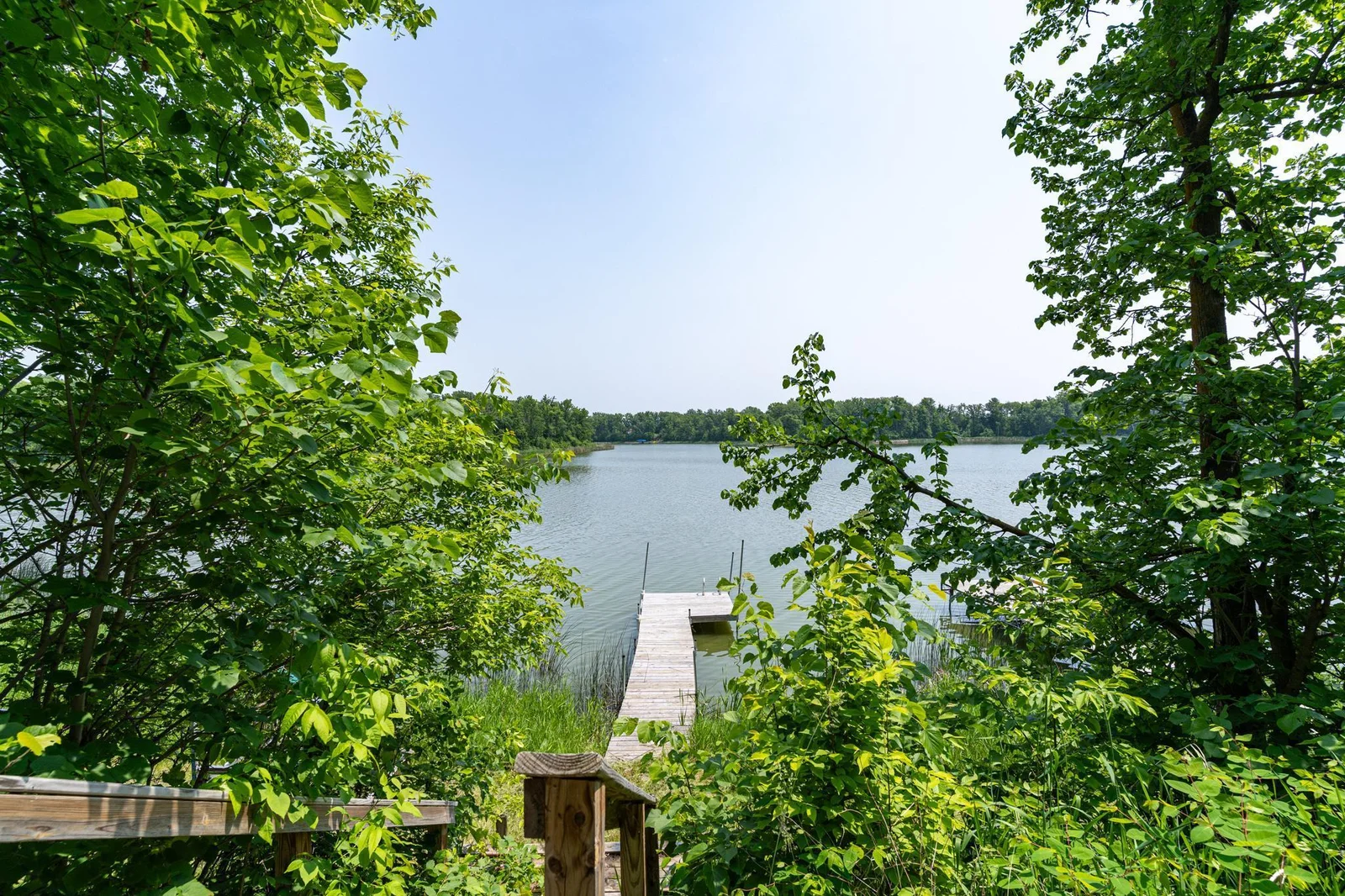 SWP-7309101.jpg