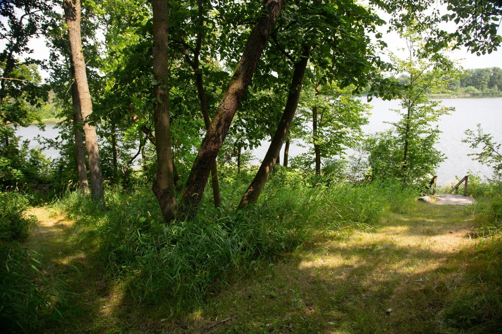 20240804-4m2a4946_53902673155_o.jpg