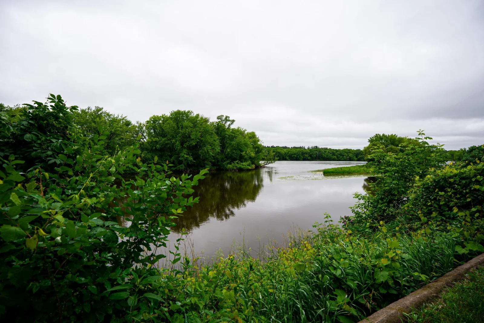 River looking NW.jpg