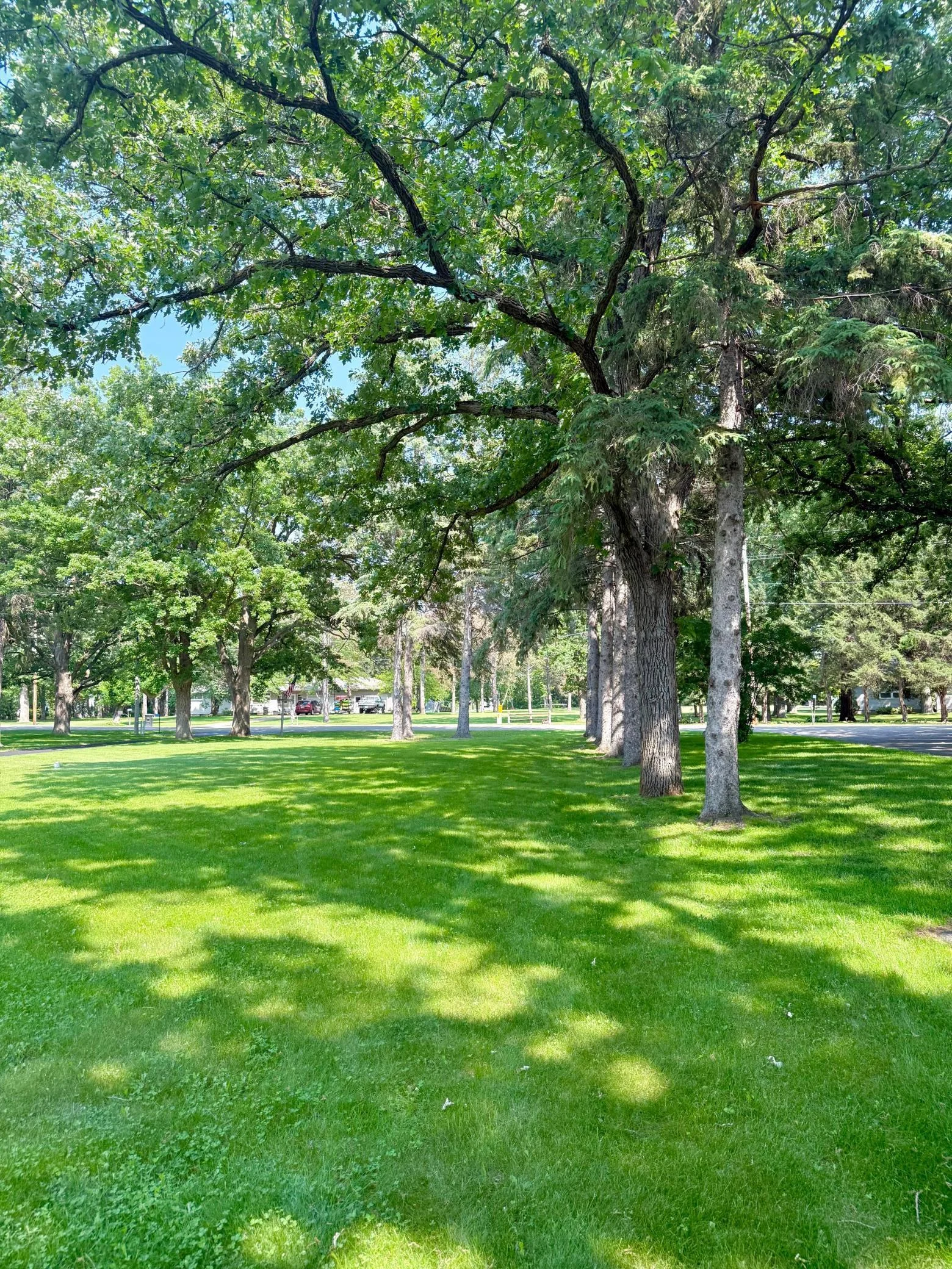 37-Set back from the road these mature trees and open space to enjoy yard games and more.jpg