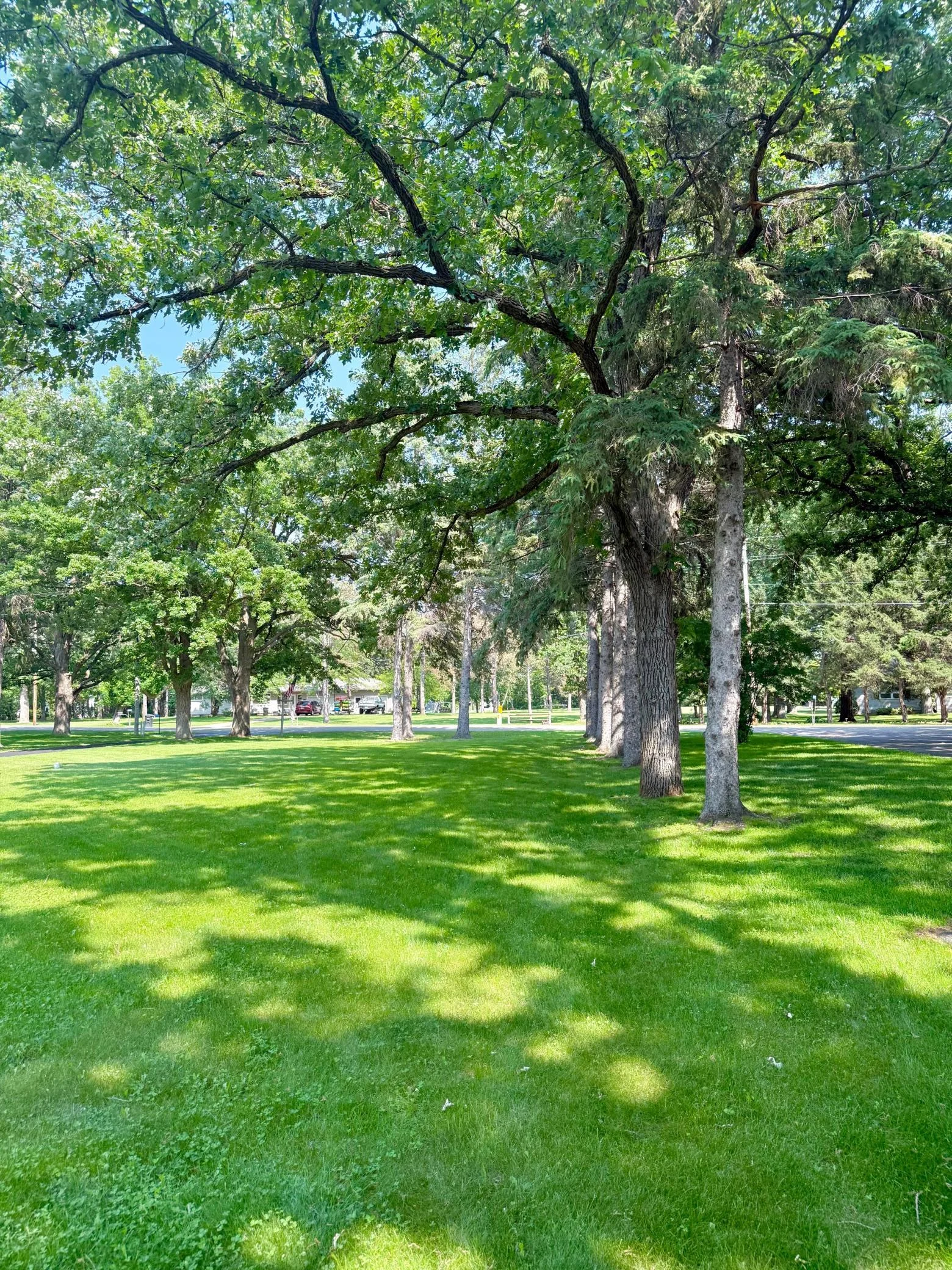 37-Set back from the road these mature trees and open space to enjoy yard games and more.jpg