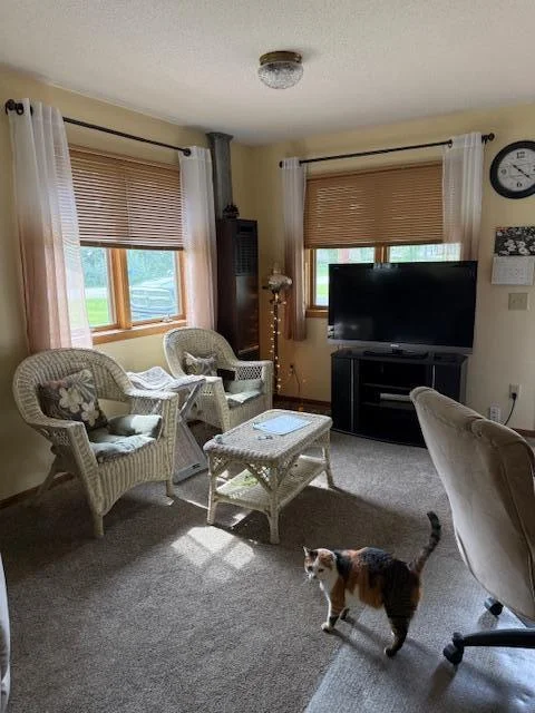 Living room.jpg