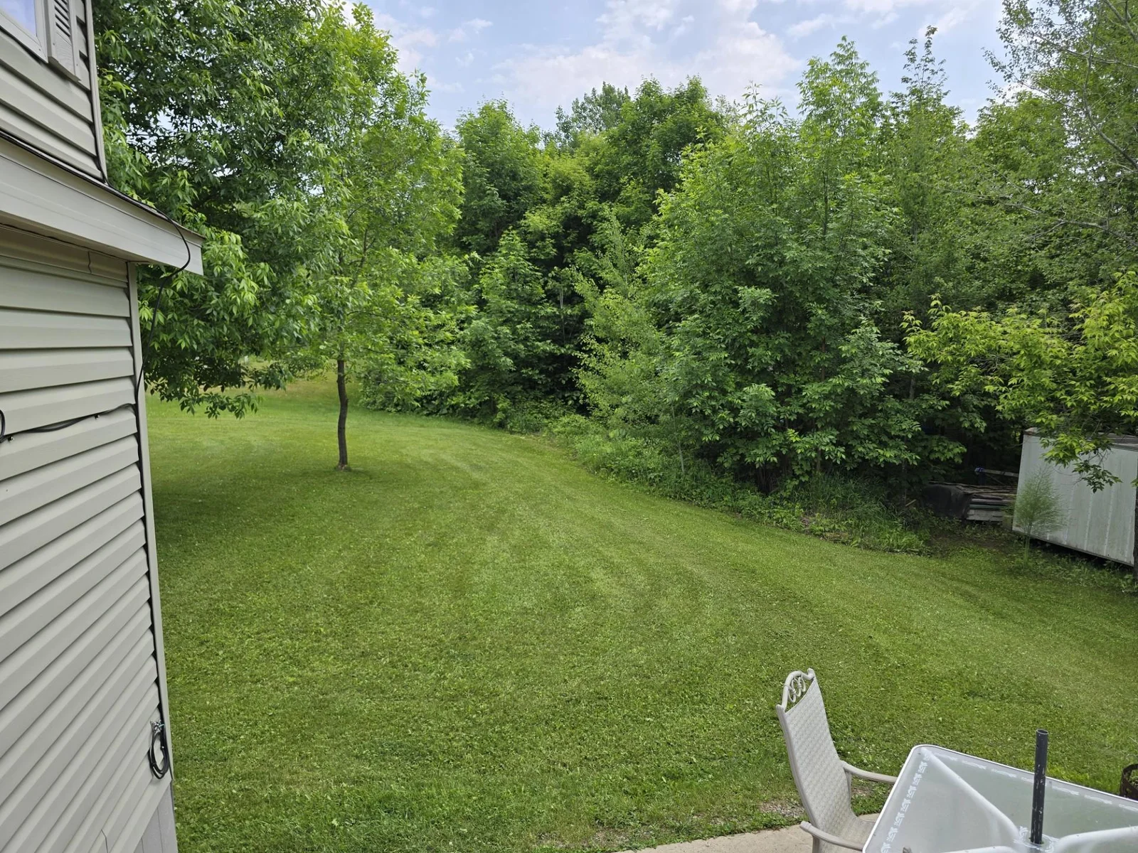 thumbnail_20250610_124231.jpg