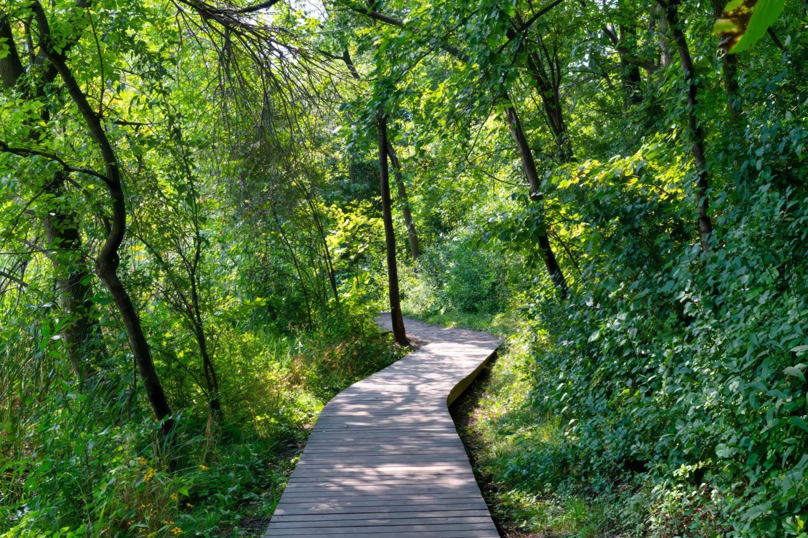 Lebanon Hills Park- CNN “Crown Jewel of Dakota County”