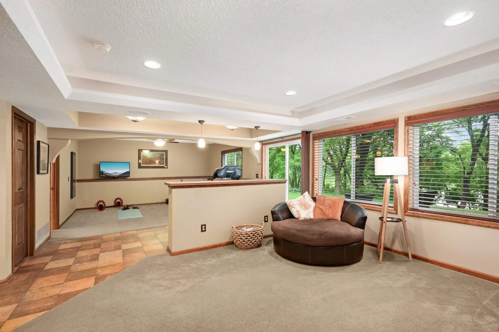 Lower level recreation room - Lakeview