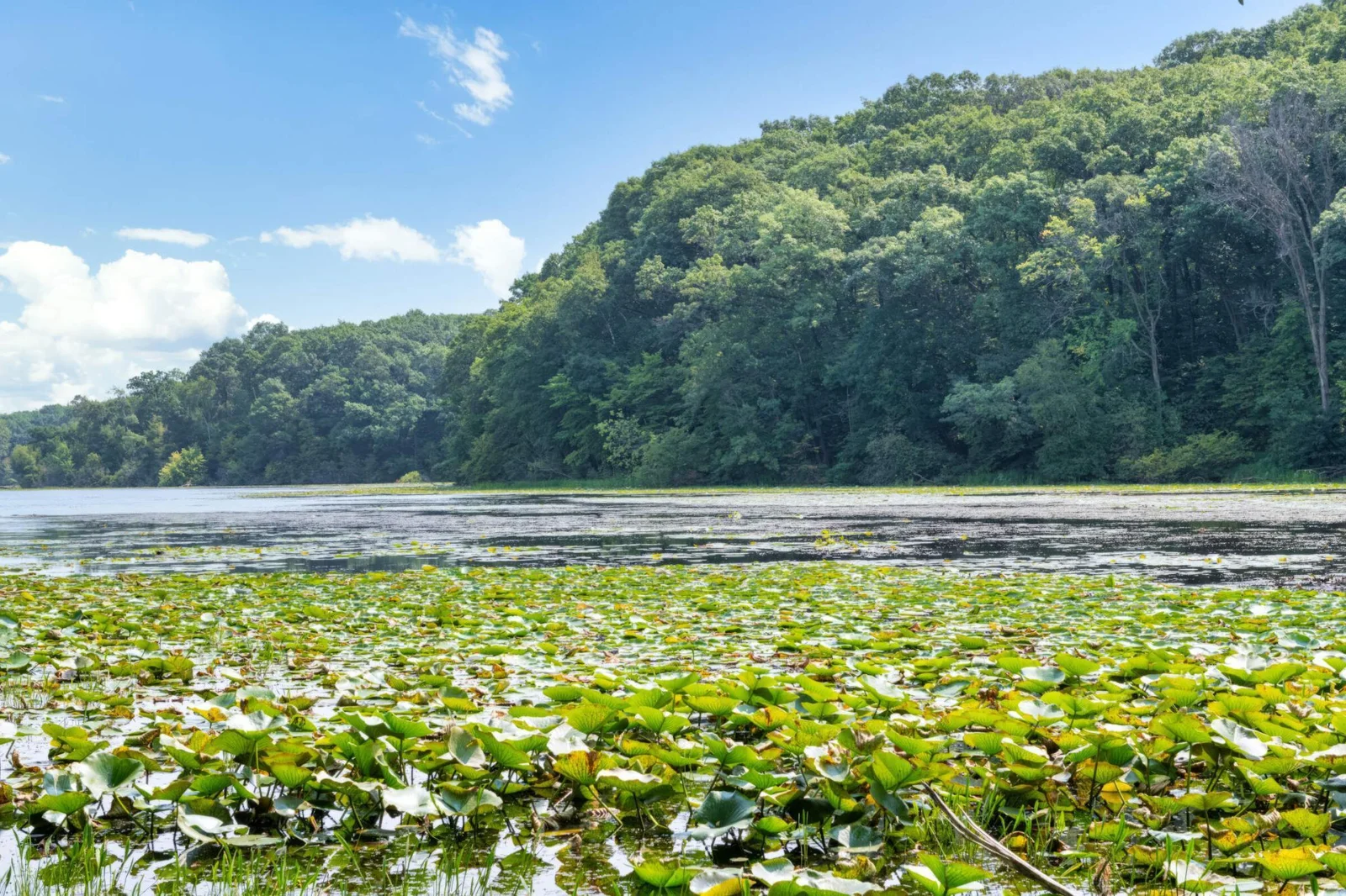 Lebanon Hills Park- CNN “Crown Jewel of Dakota County”