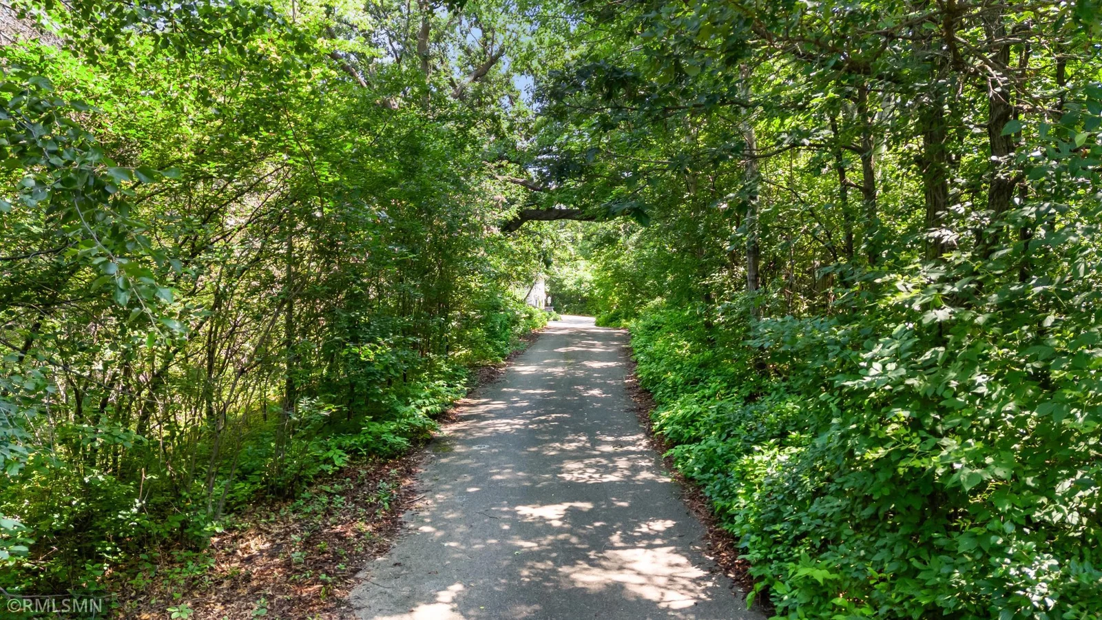 Shaded, tree-lined drive leading to entrance.