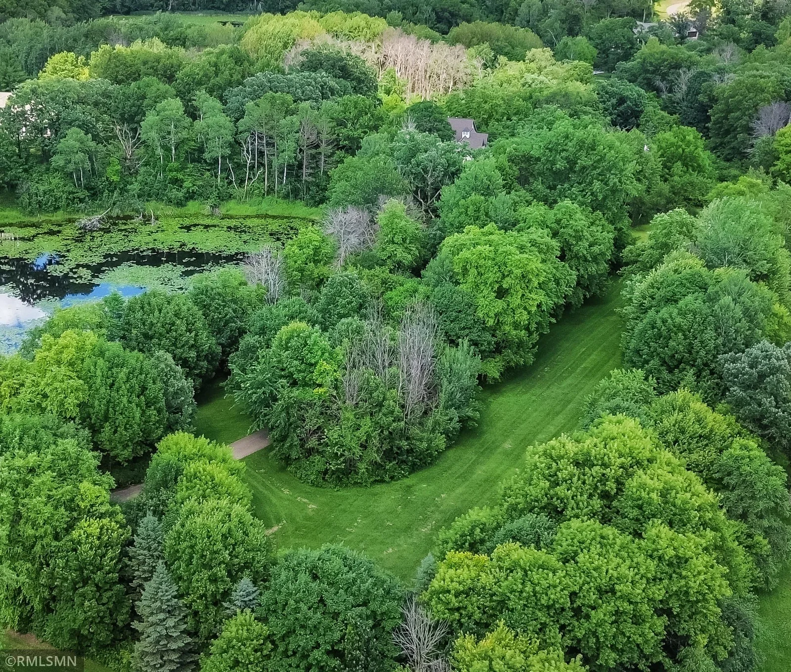 Long winding driveway with overhanging trees lead to dramatic entrance.