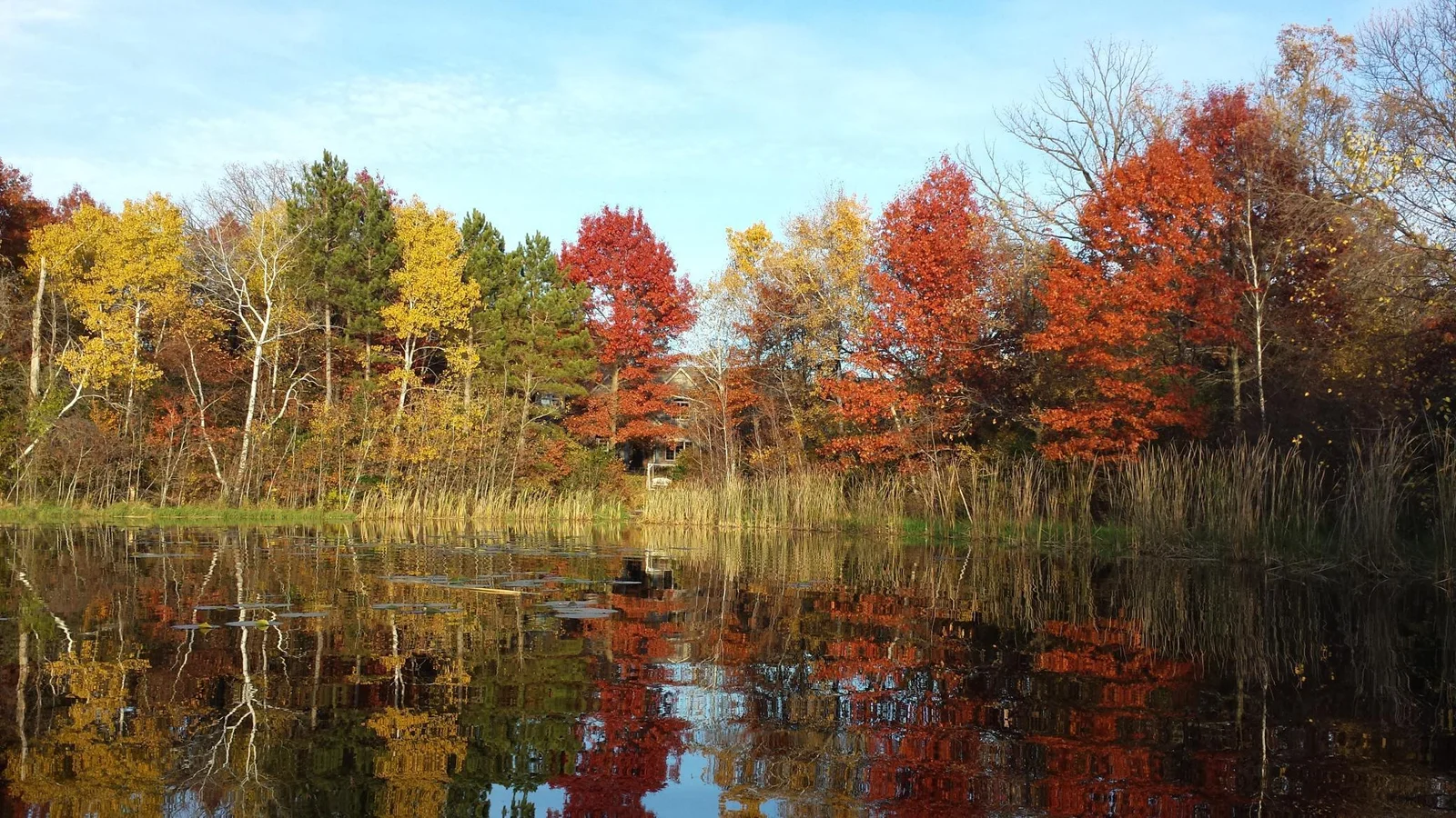 Looking across the pond toward the house in the fall. It's all part of the property.