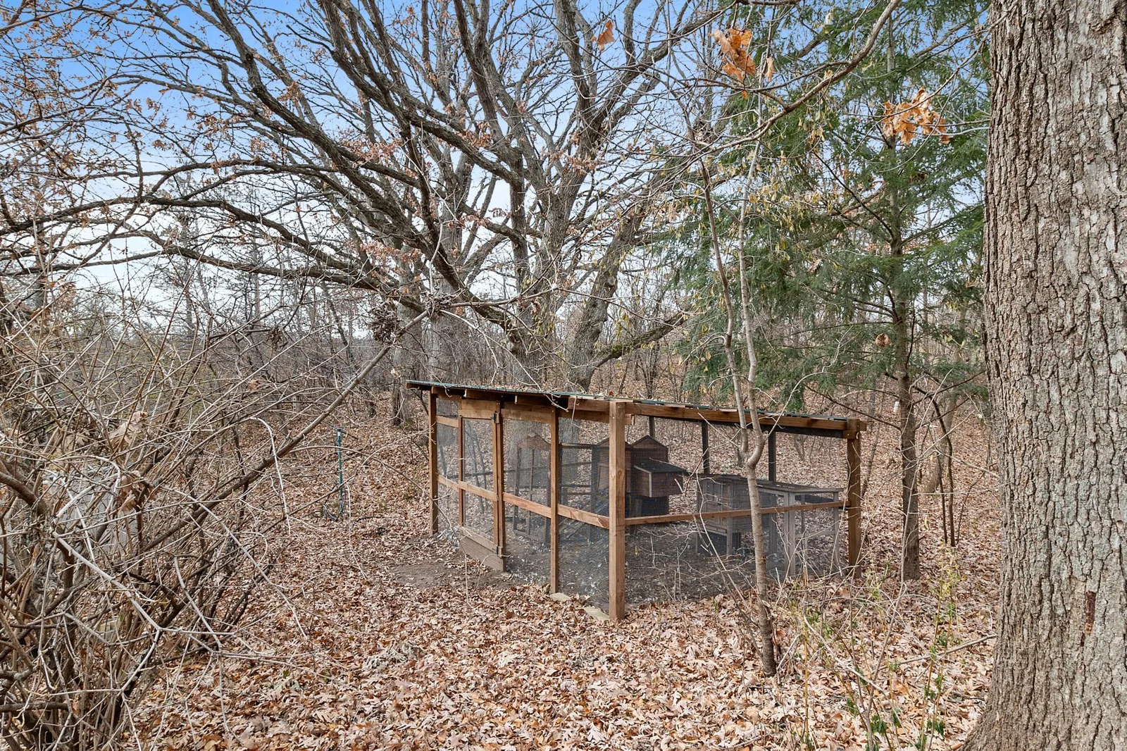 Large, secure chicken coop or kennel with steel roof.