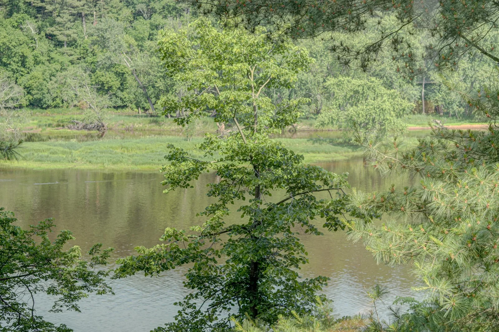Welcome to the St. Croix National Scenic Riverway, the protected national park right outside your door.