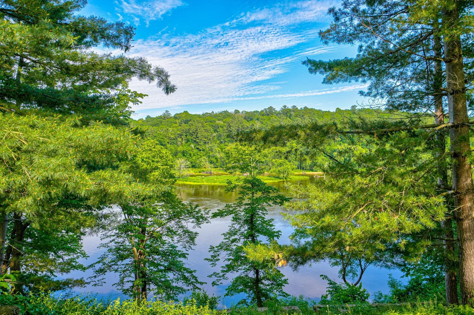 Pristine views as far as the eye can see. Watch for bald eagles, great blue herons, snowy egrets, sandhill cranes, and trumpeter swans.
