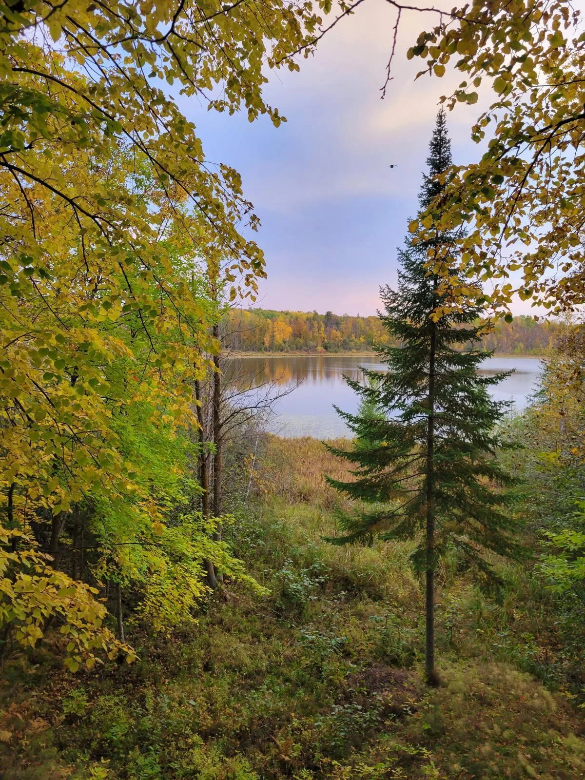 Additional view of property