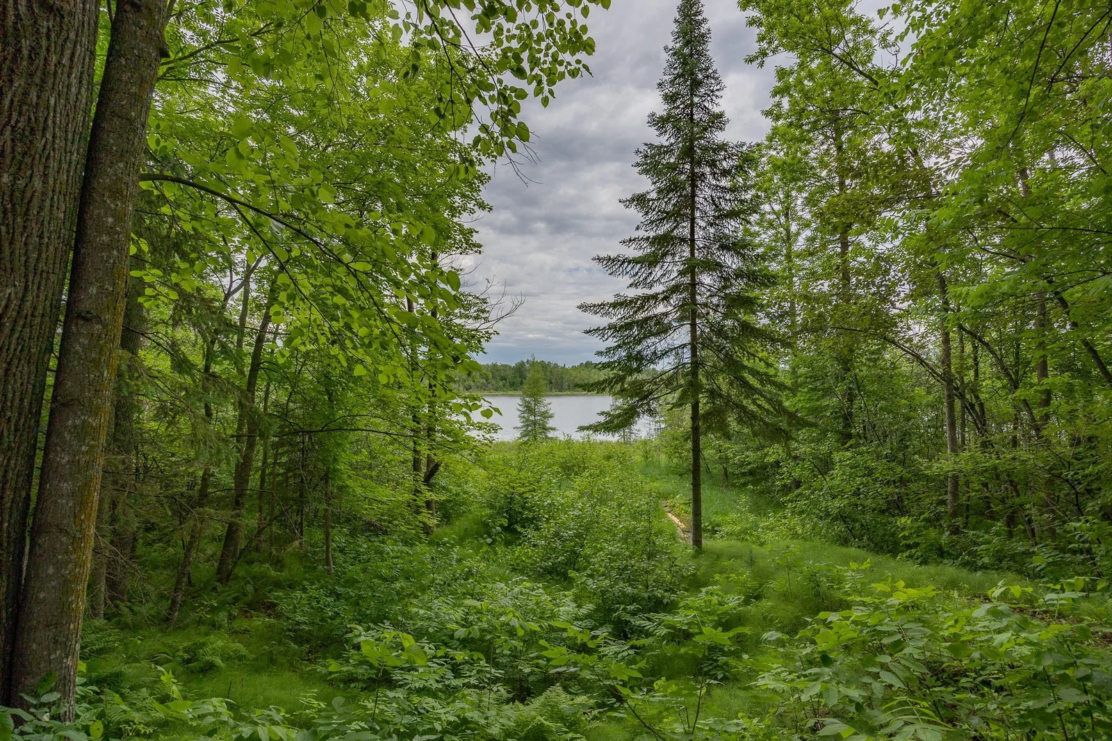 Lost Lake