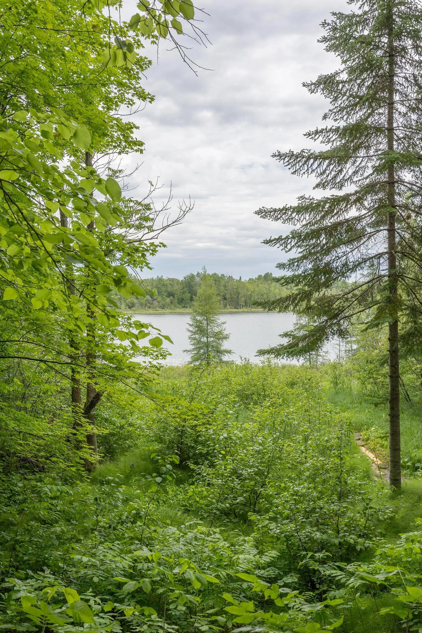 Lost Lake