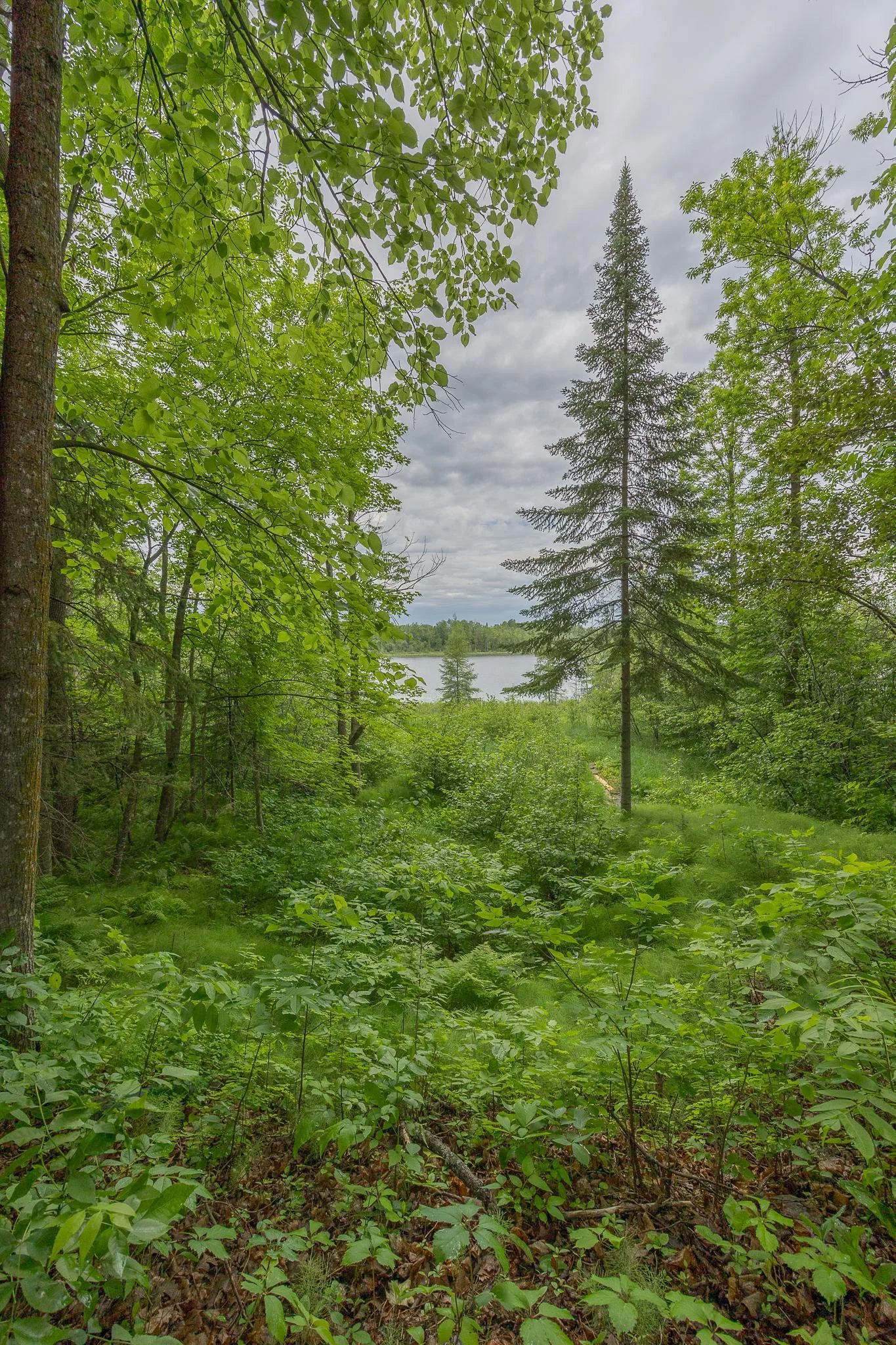 Tranquil views of Lost Lake