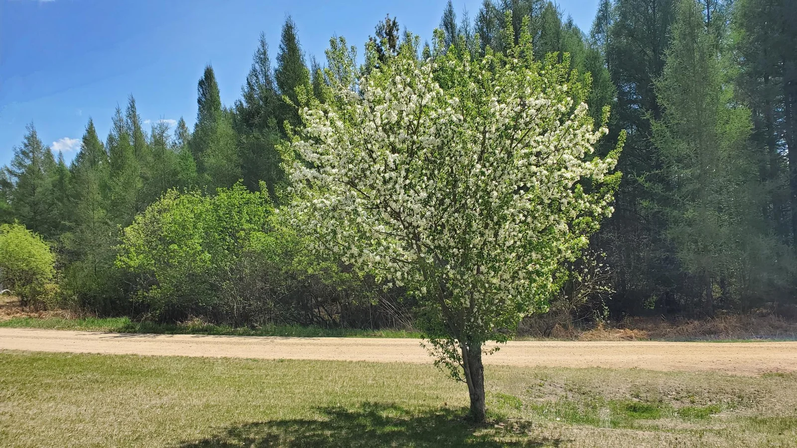 It's spring