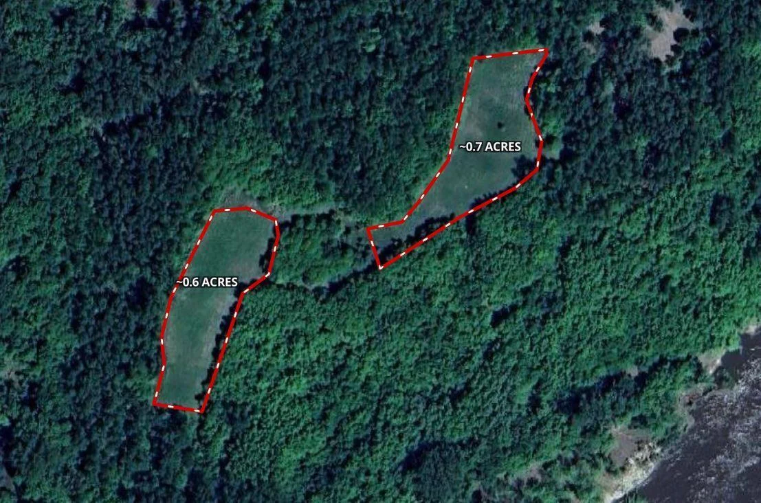 Potential Food Plot Open Areas.JPG