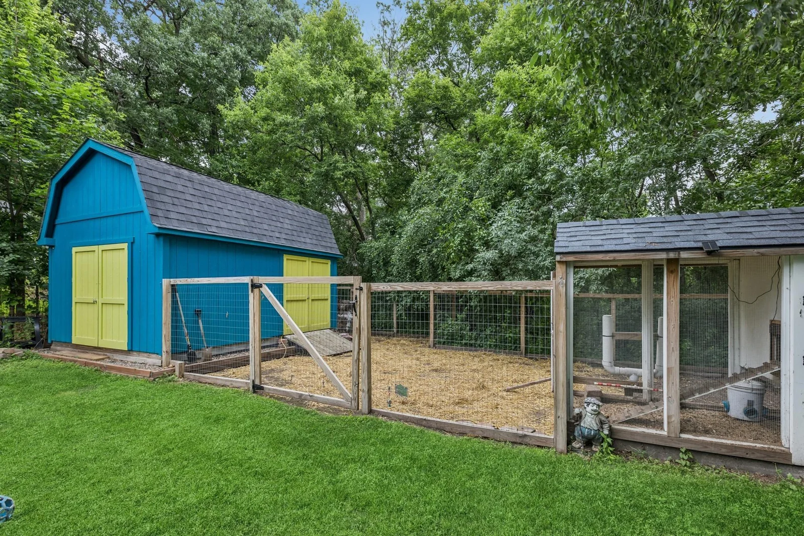 Woodshop Shed and Chicken Coop - Fresh Daily Morning Eggs!
