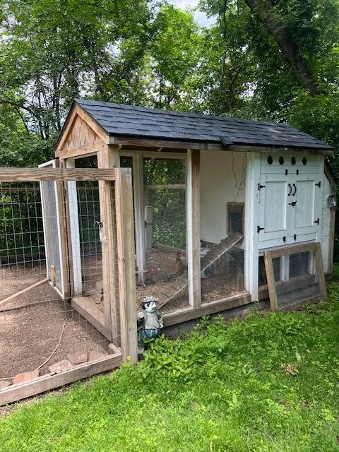 Fresh Eggs Daily from the Coop