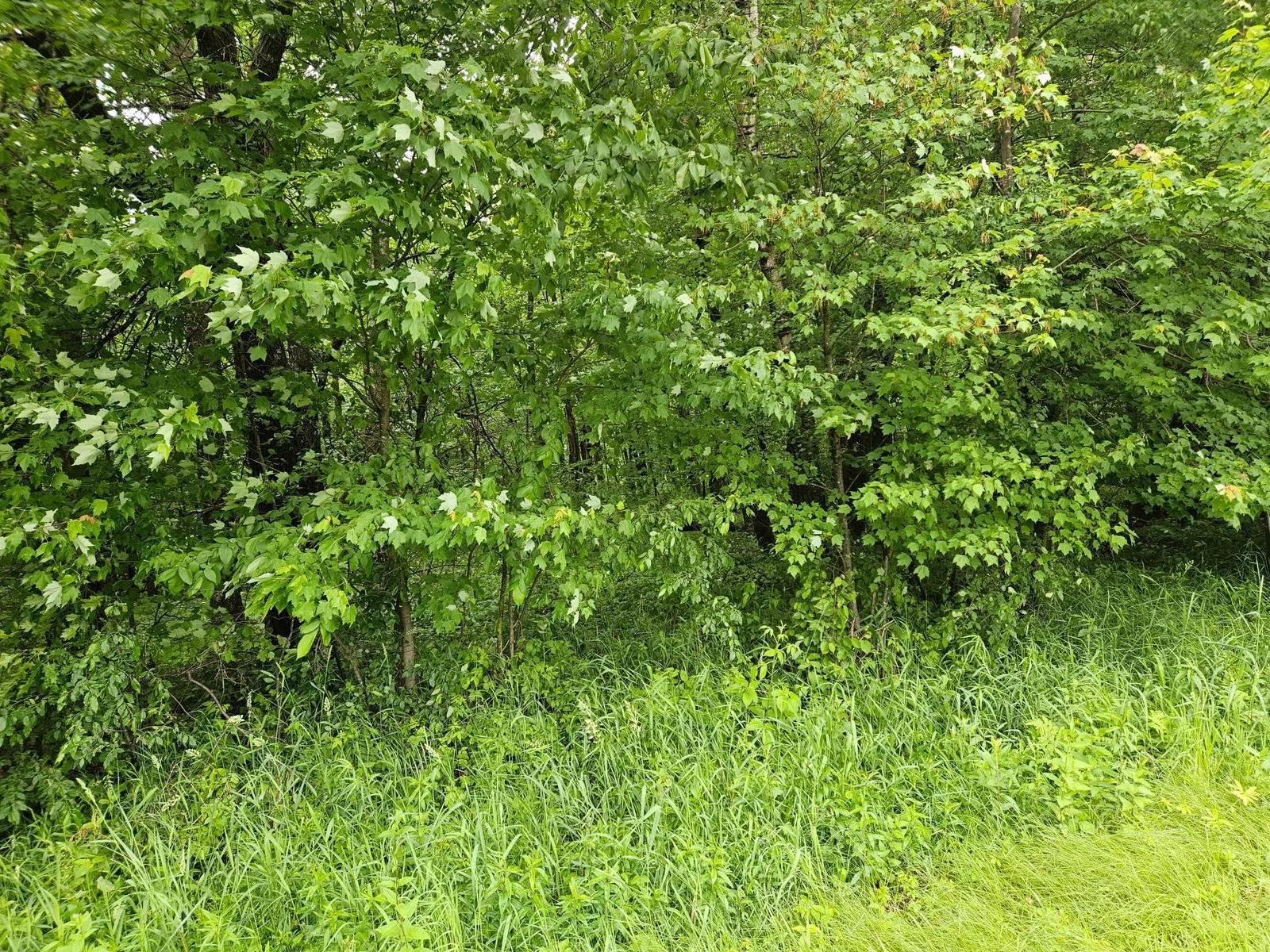 Thumbnail photo 7