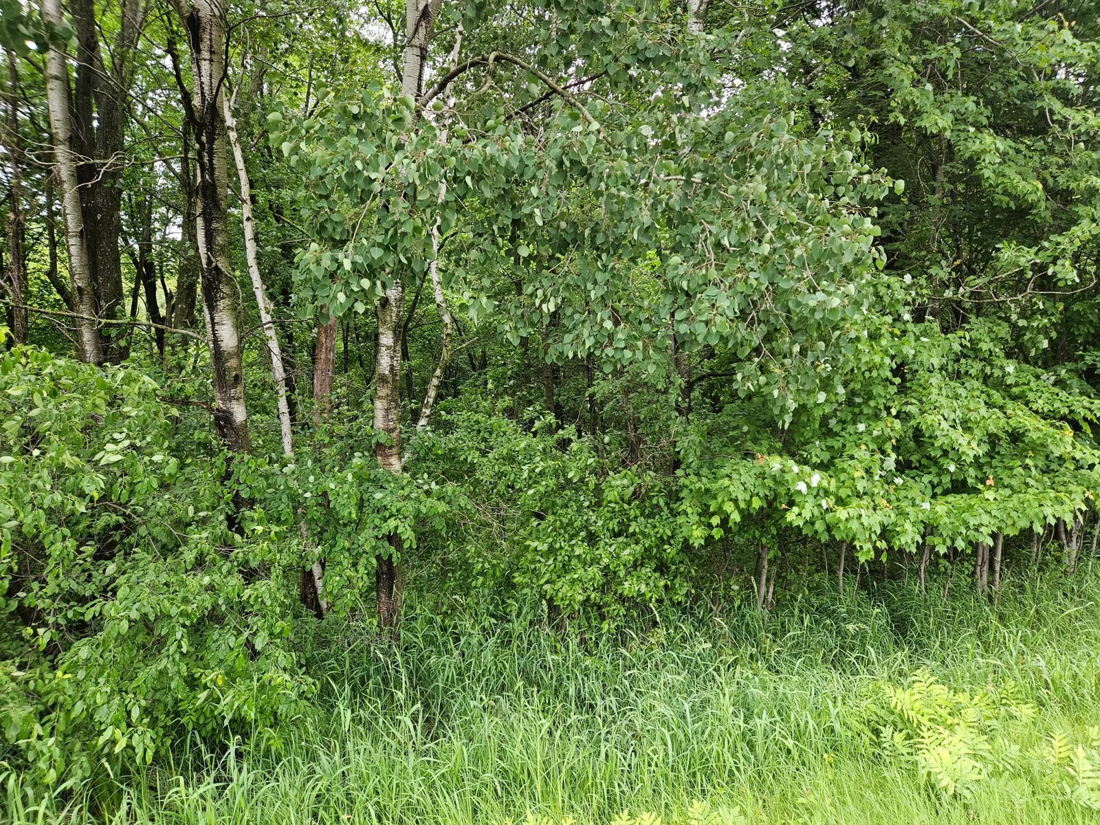 Thumbnail photo 8