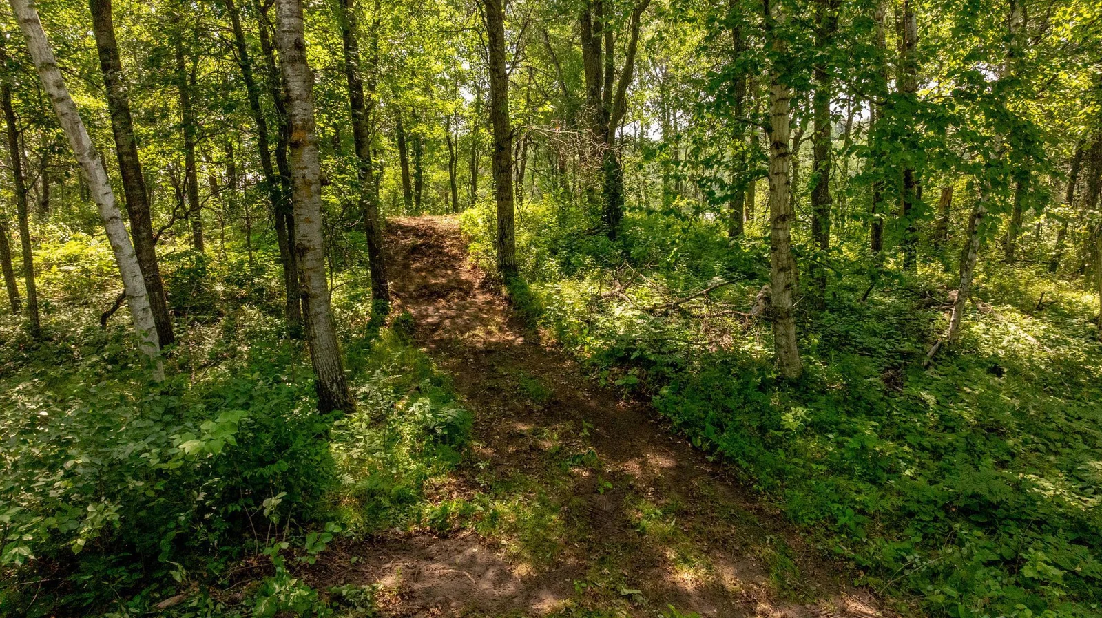 DJI_20250712042251_0097_D.jpg