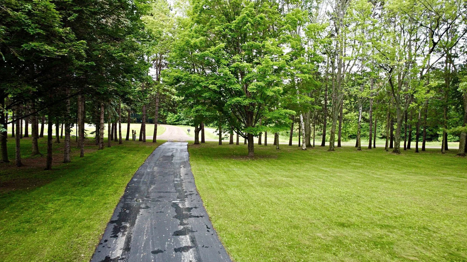 Driveway to Property.jpg