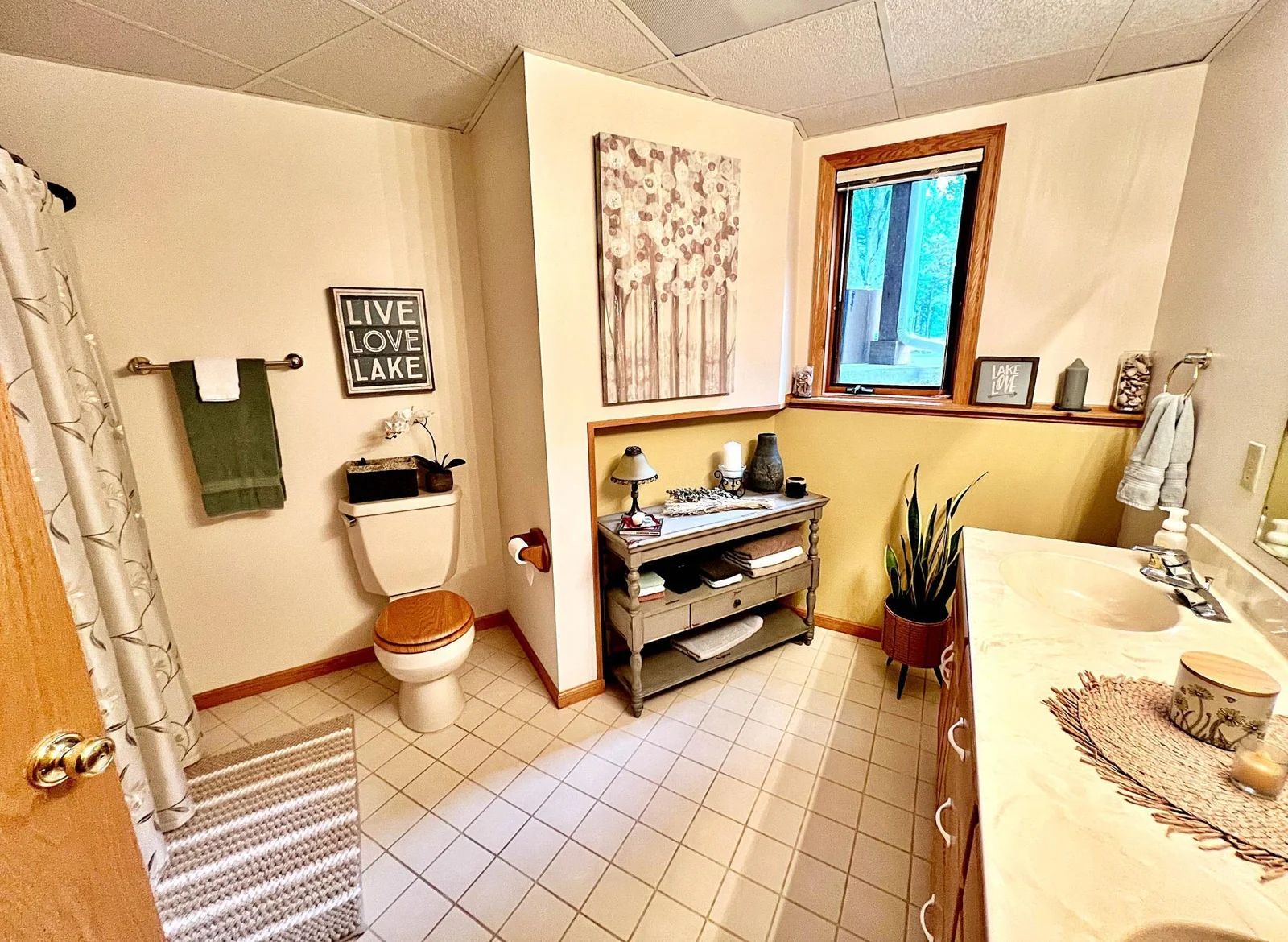Bathroom Full on lower level.jpg