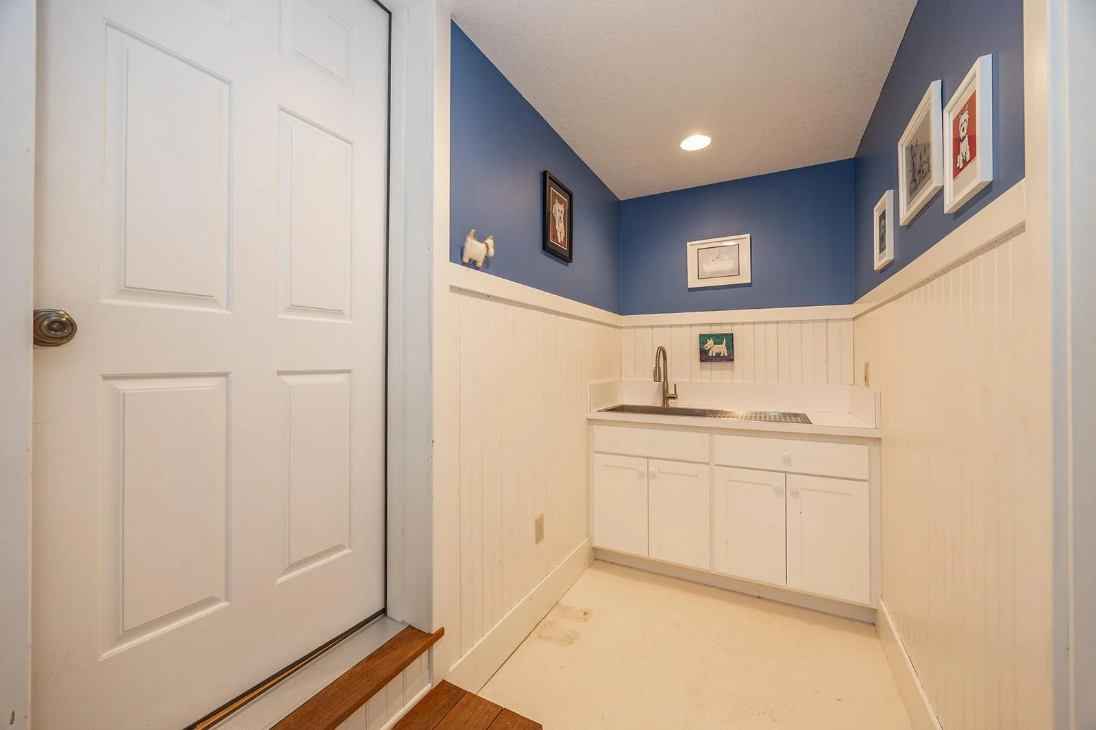 Lower level sink used for dog wash station