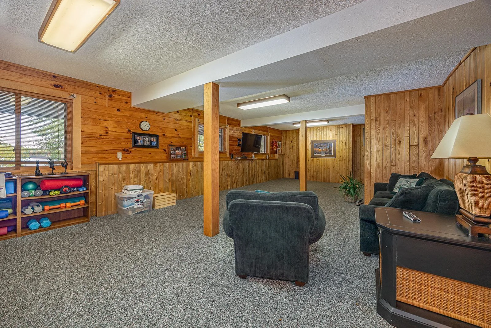 Lower level family room