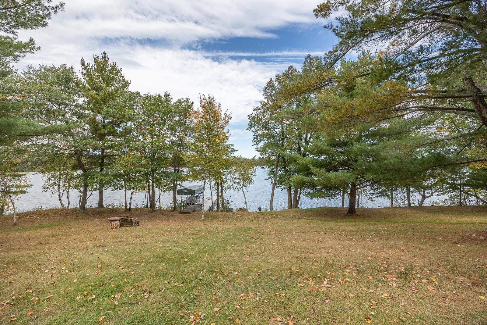 Lakeside yard