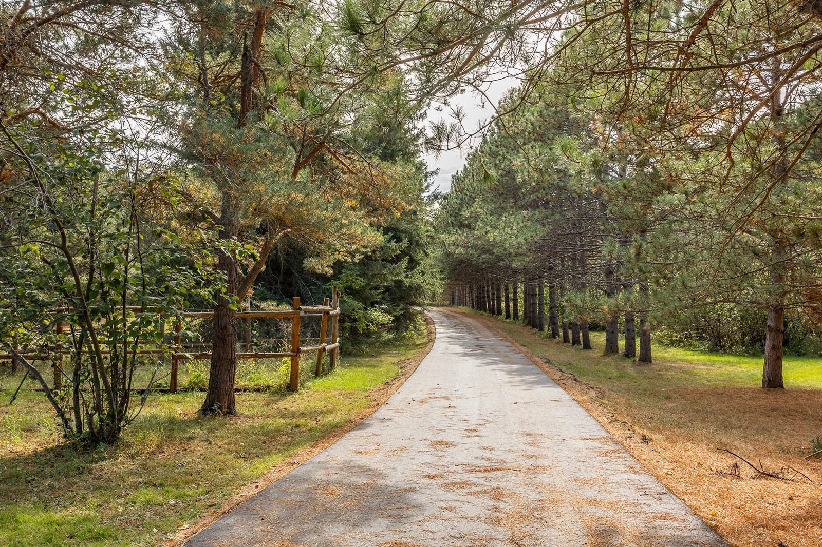 Entering the property