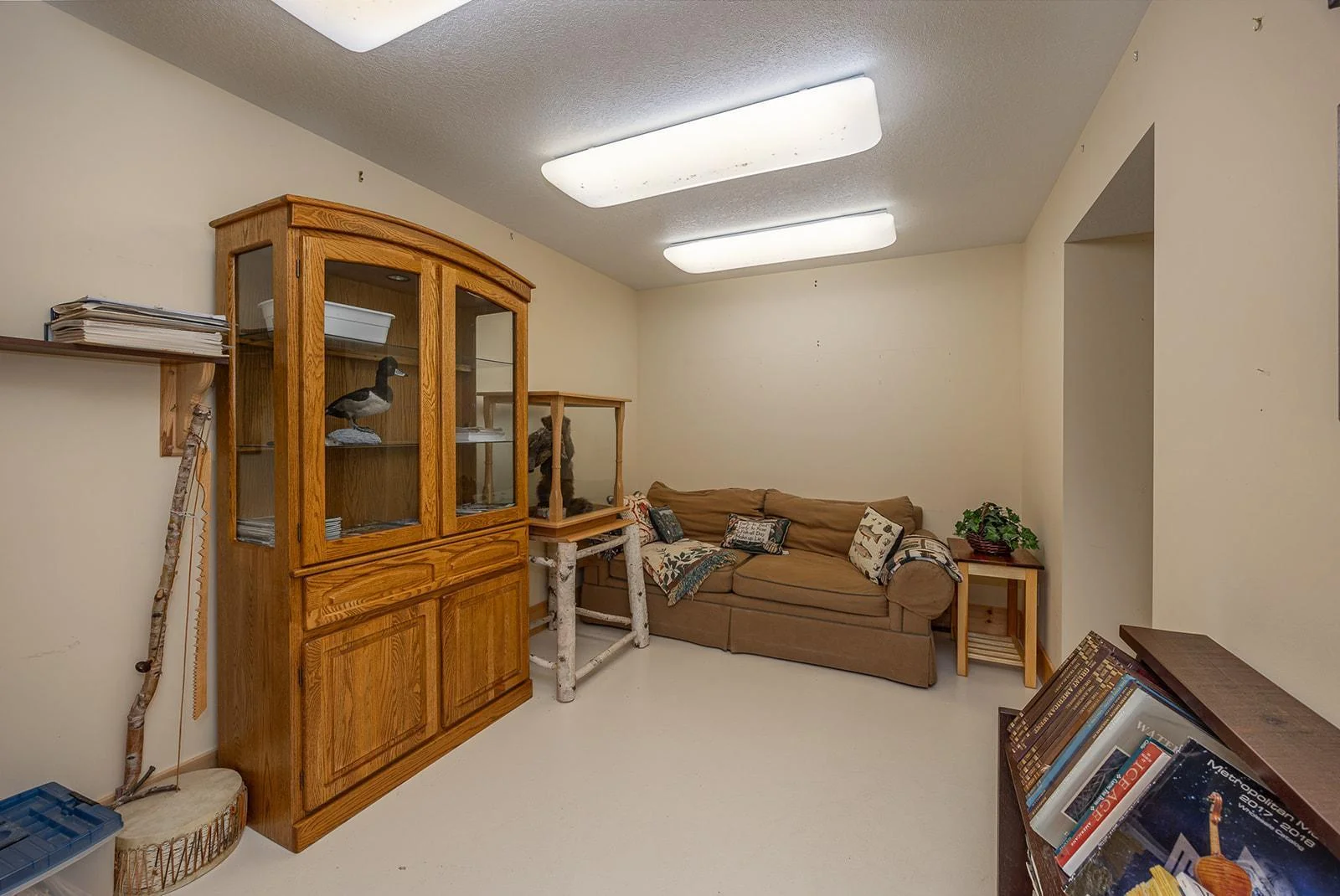 Additional room in lower level