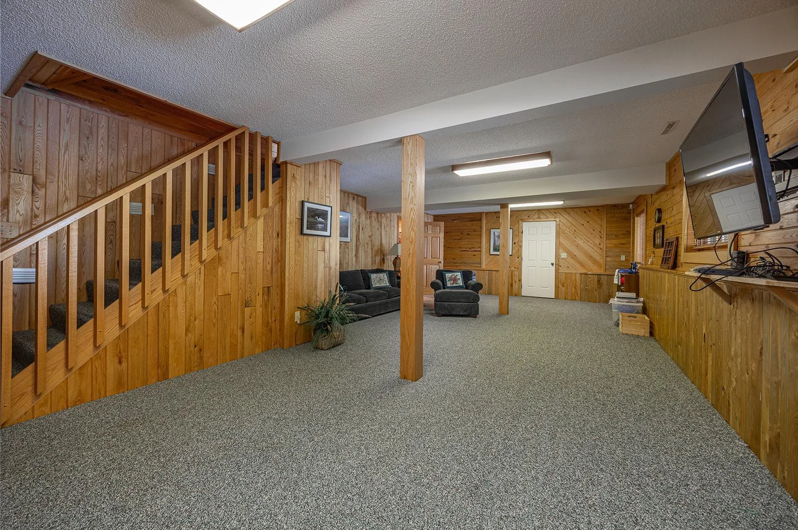 Lower level family room