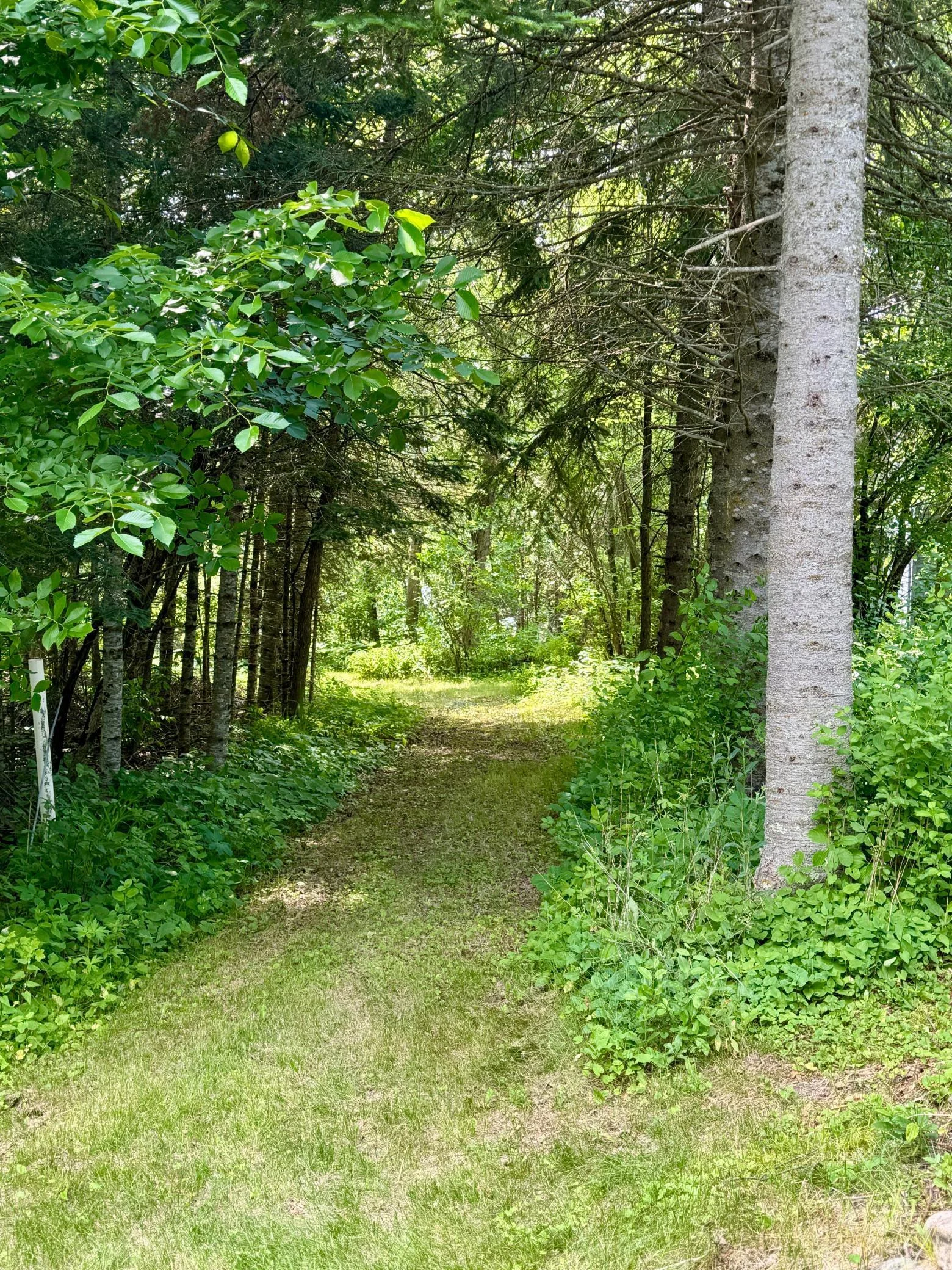 Pathway to the Beach