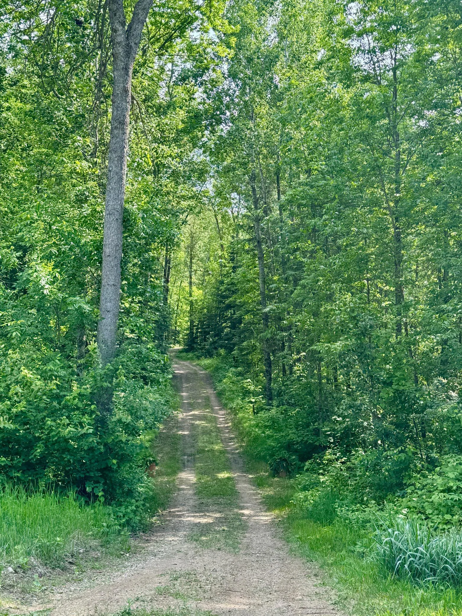 Entrance to Property