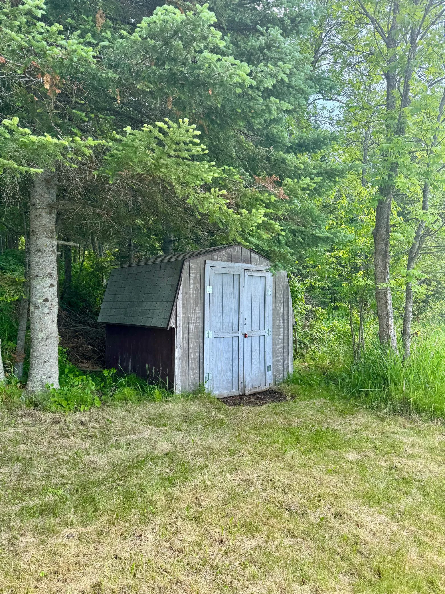 Toy Shed