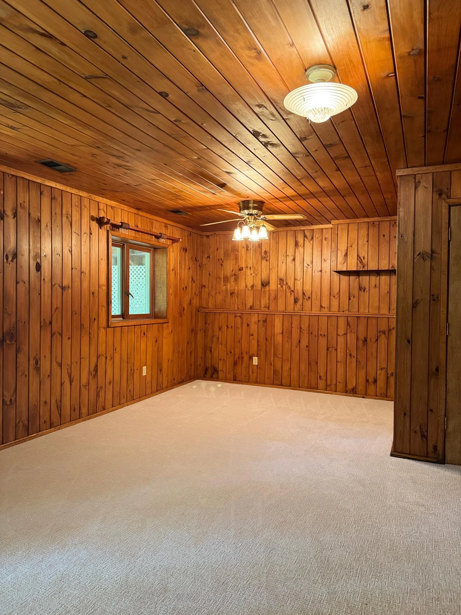 Basement Family Room Area