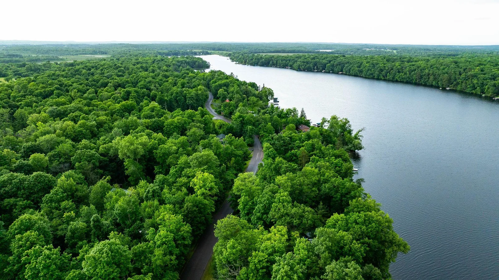 DJI_0678.jpg