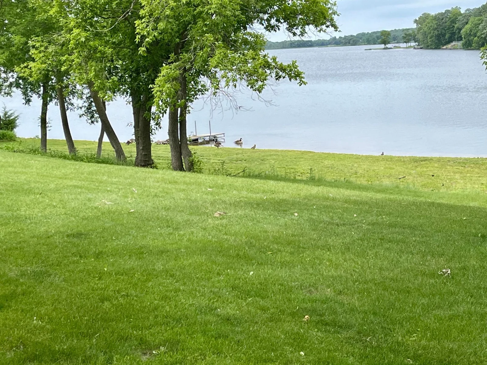 Beautiful view!