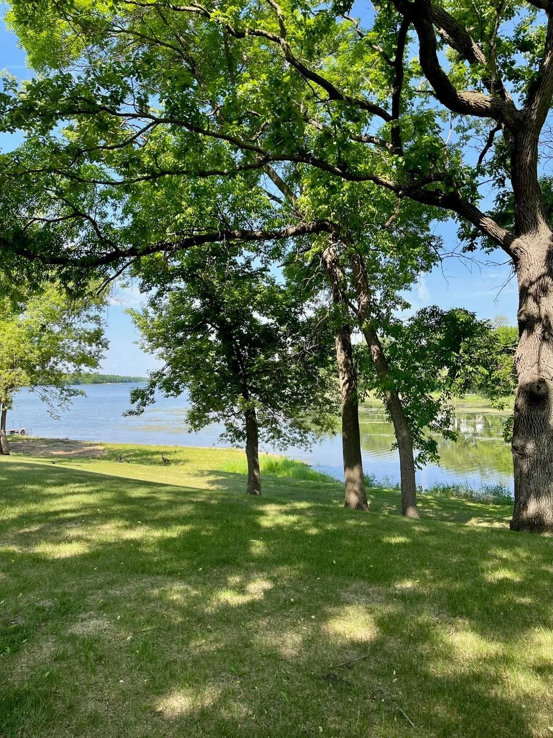 View