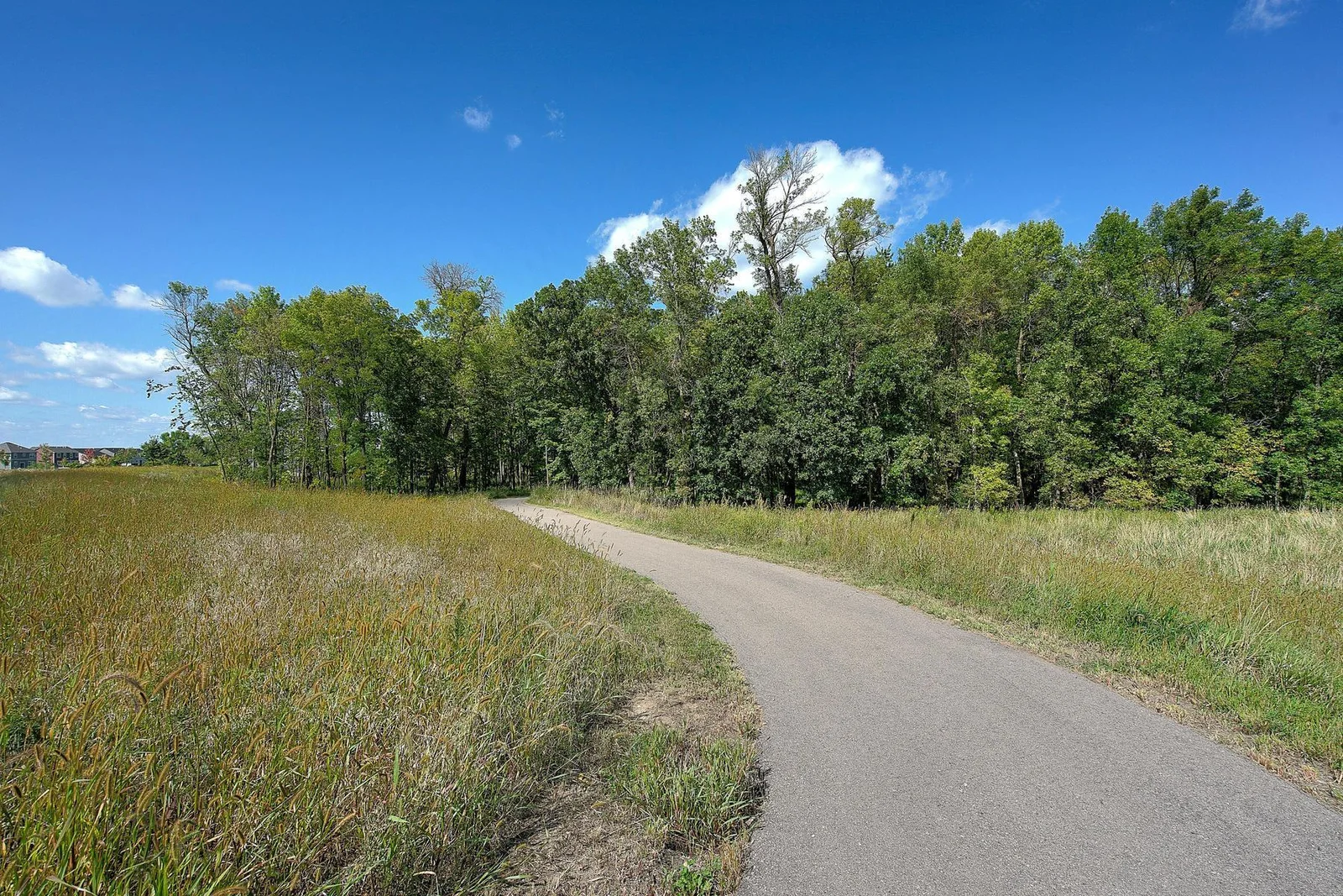 MI Homes Woodland Cove-040-038-Neighborhood-MLS_Size.jpg