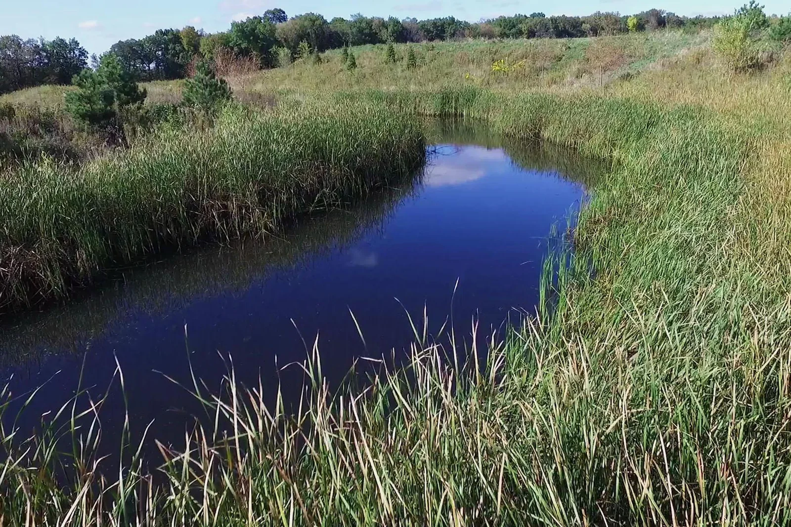 [Z3]CommunityPonds.jpg