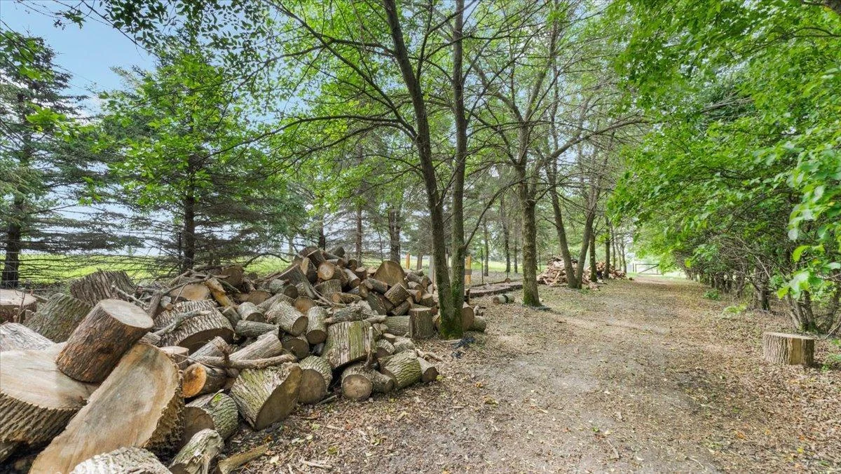 The grove