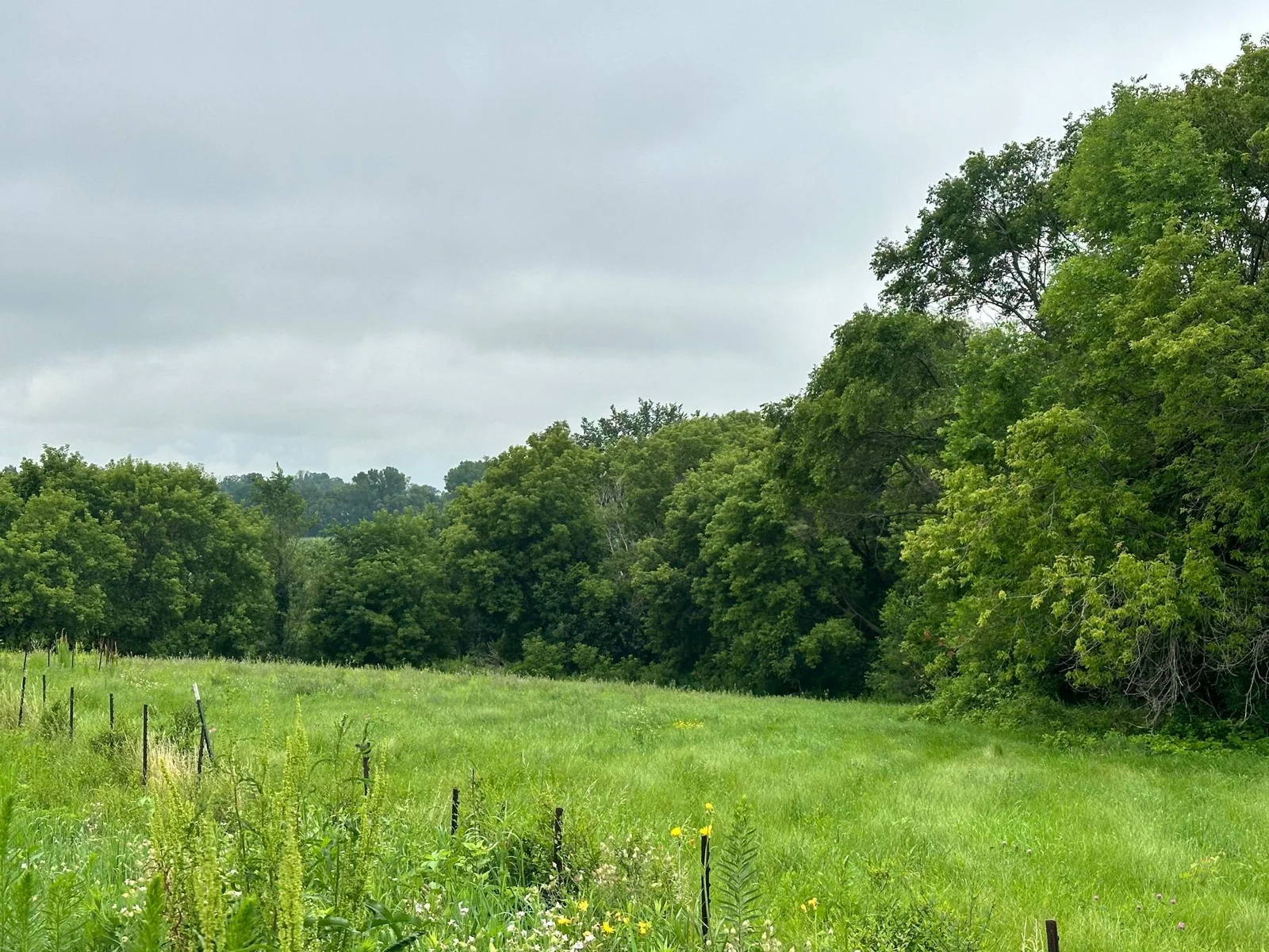 Rolling Land