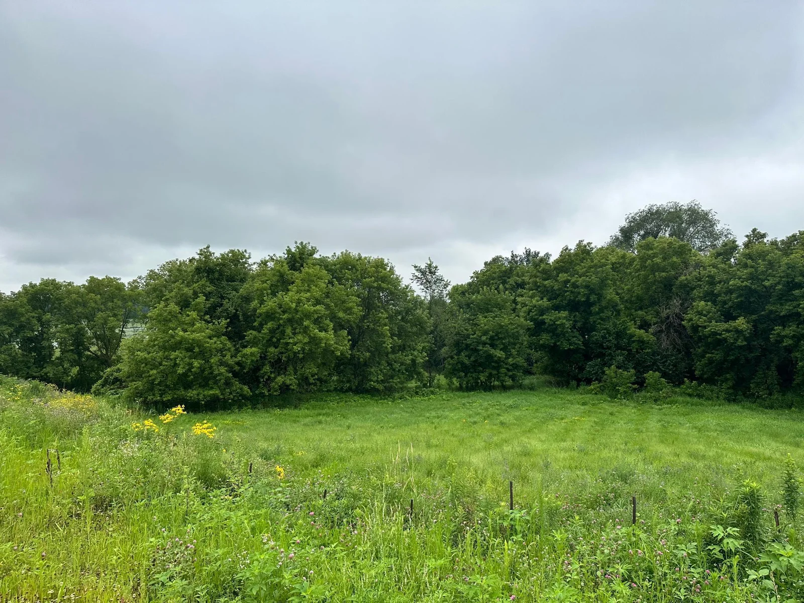 Beautiful 3 acres!