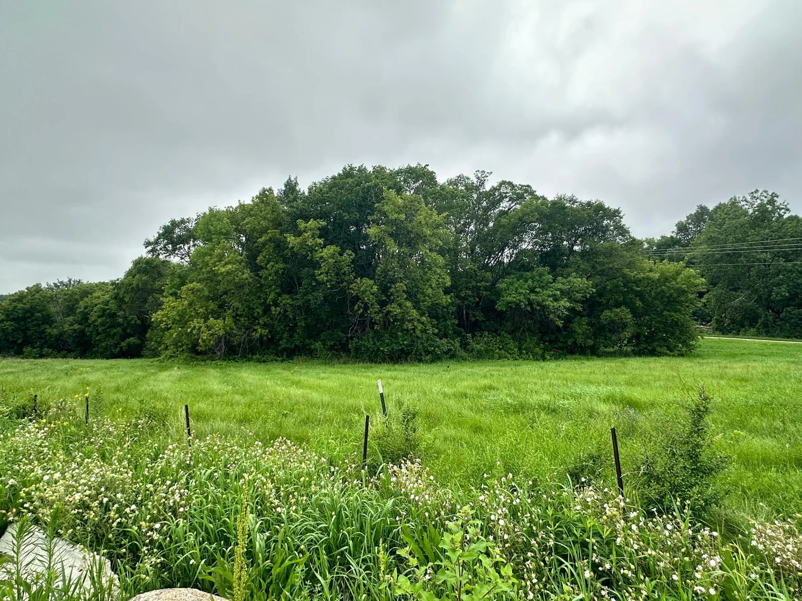 Wooded Acreage